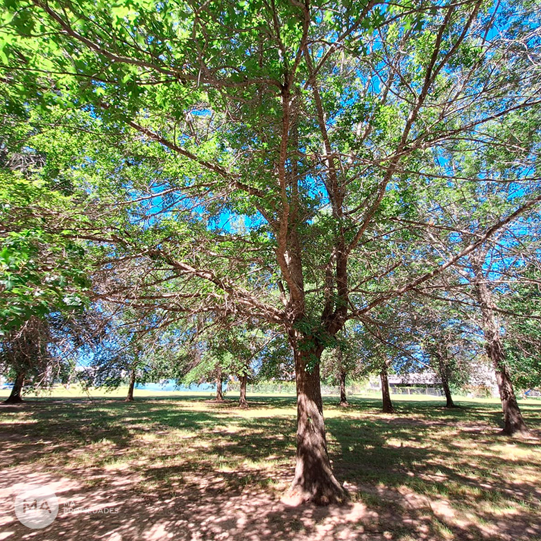 Terreno con orientación fondo este - Palos Verdes barrio privado - Fisherton Rosario