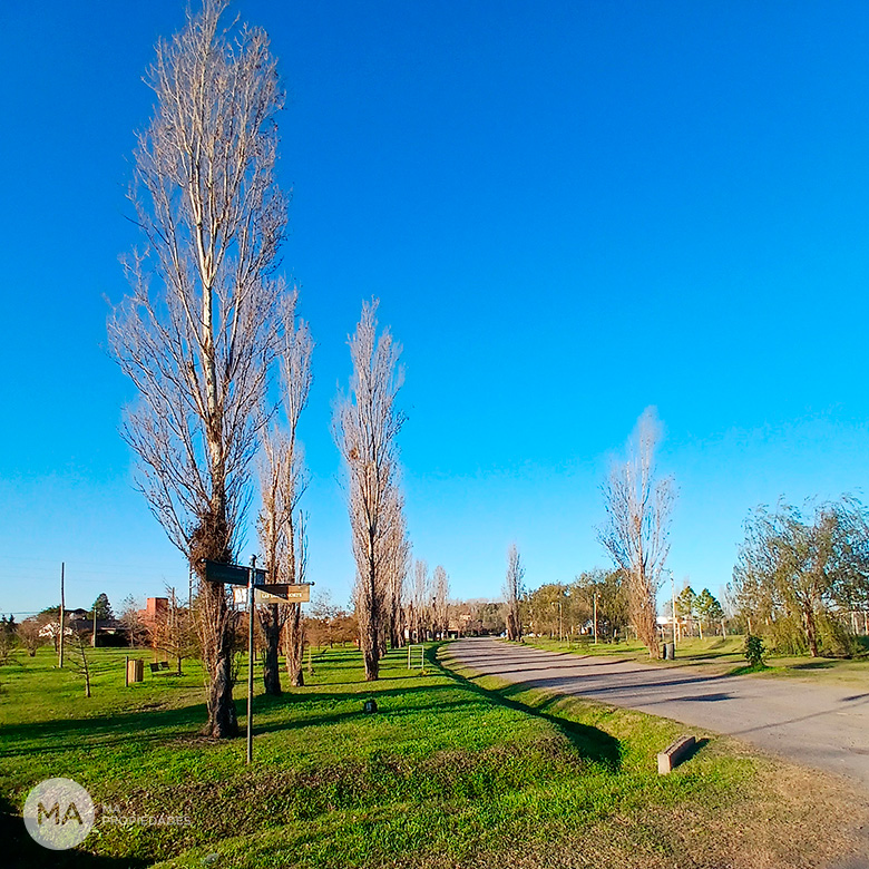 Lote 382 m2– Barrio Las Tardes - Roldán | Venta