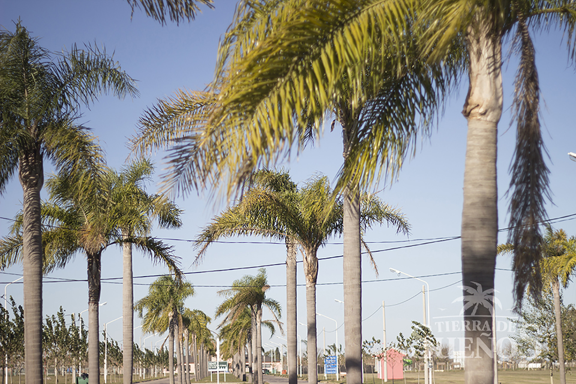 TIERRA DE SUEÑOS PUERTO SAN MARTÍN