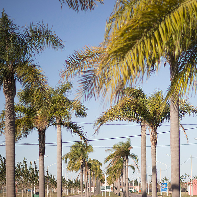 TIERRA DE SUEÑOS PUERTO SAN MARTÍN