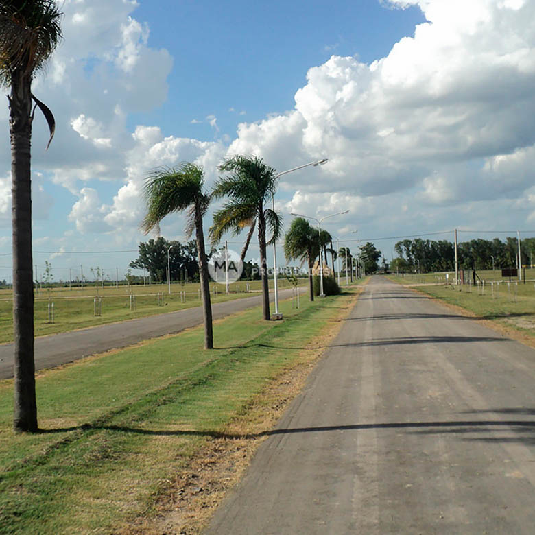 PUNTA CHACRA